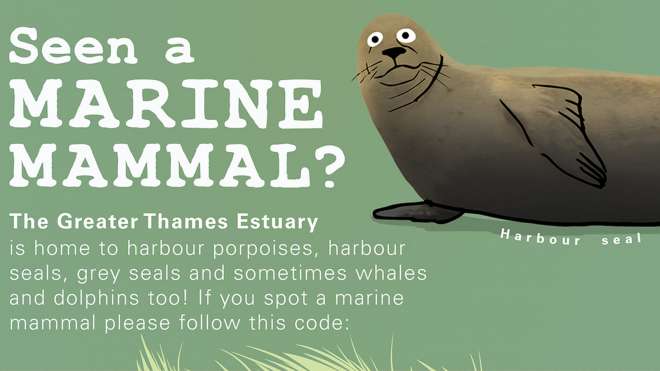 marine-mammal-infographic-small-thumbnail